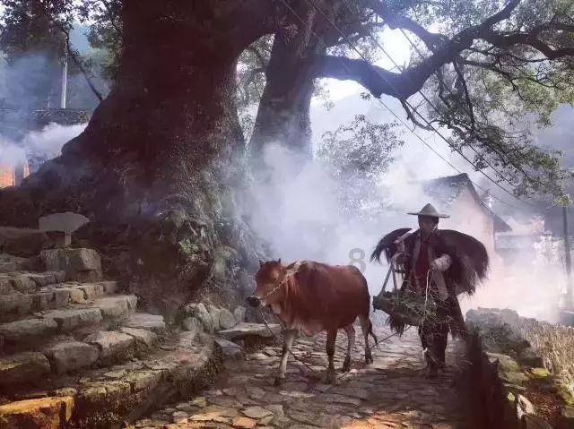 《博德之门3》营救高公爵月初之塔任务完成攻略